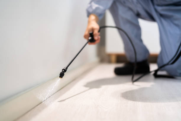 Bed Bug Pre-Treatment Preparation Assessment in Ellijay