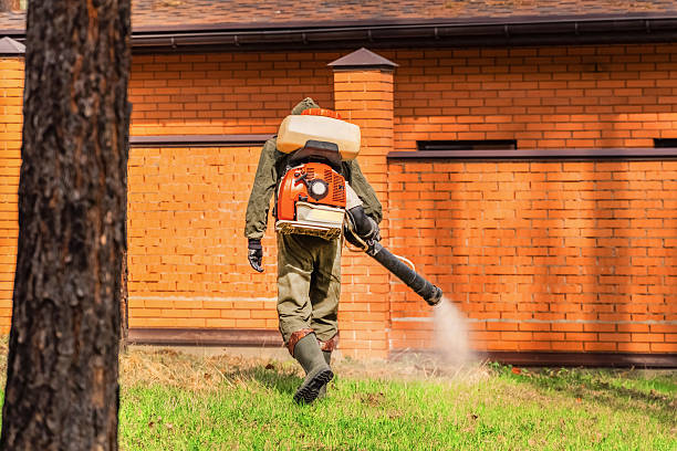 Bed Bug Clearance Verification and Documentation in Ellijay